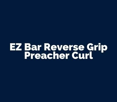 EZ Bar Reverse Grip Preacher Curl