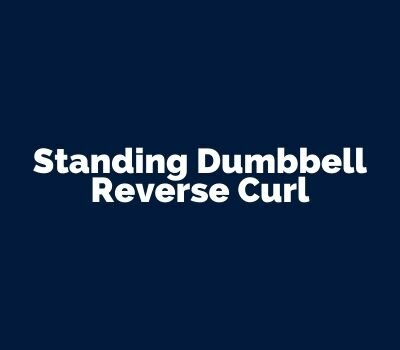 Standing Dumbbell Reverse Curl