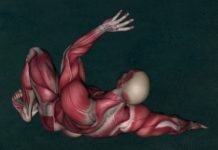 How and Why You Should Build Muscle